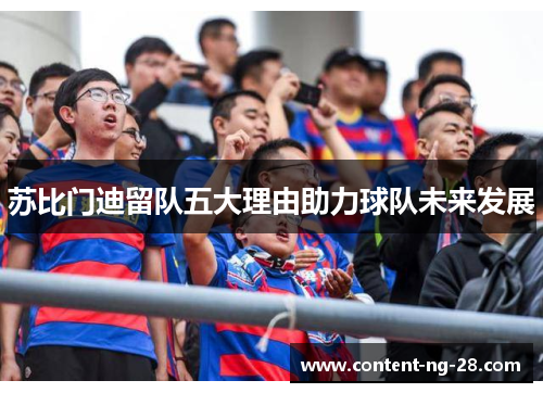 苏比门迪留队五大理由助力球队未来发展