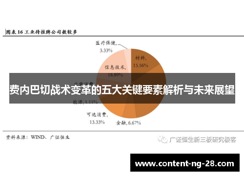 费内巴切战术变革的五大关键要素解析与未来展望